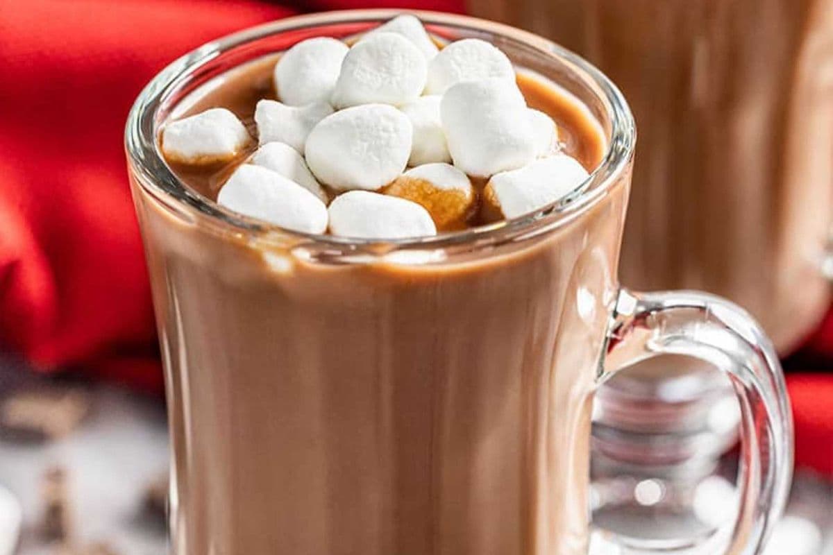 Chocolat Chaud/Hot Chocolate (8oz)
