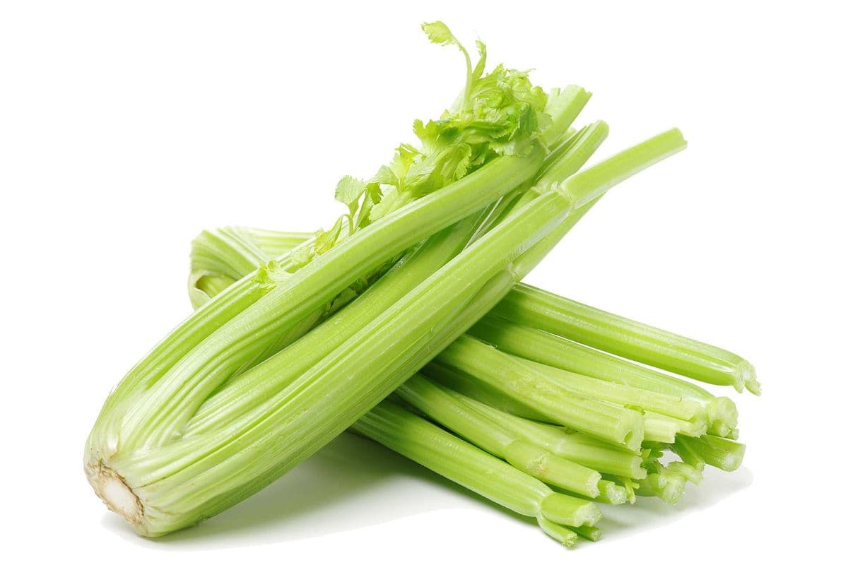 Celery - Whole (each)