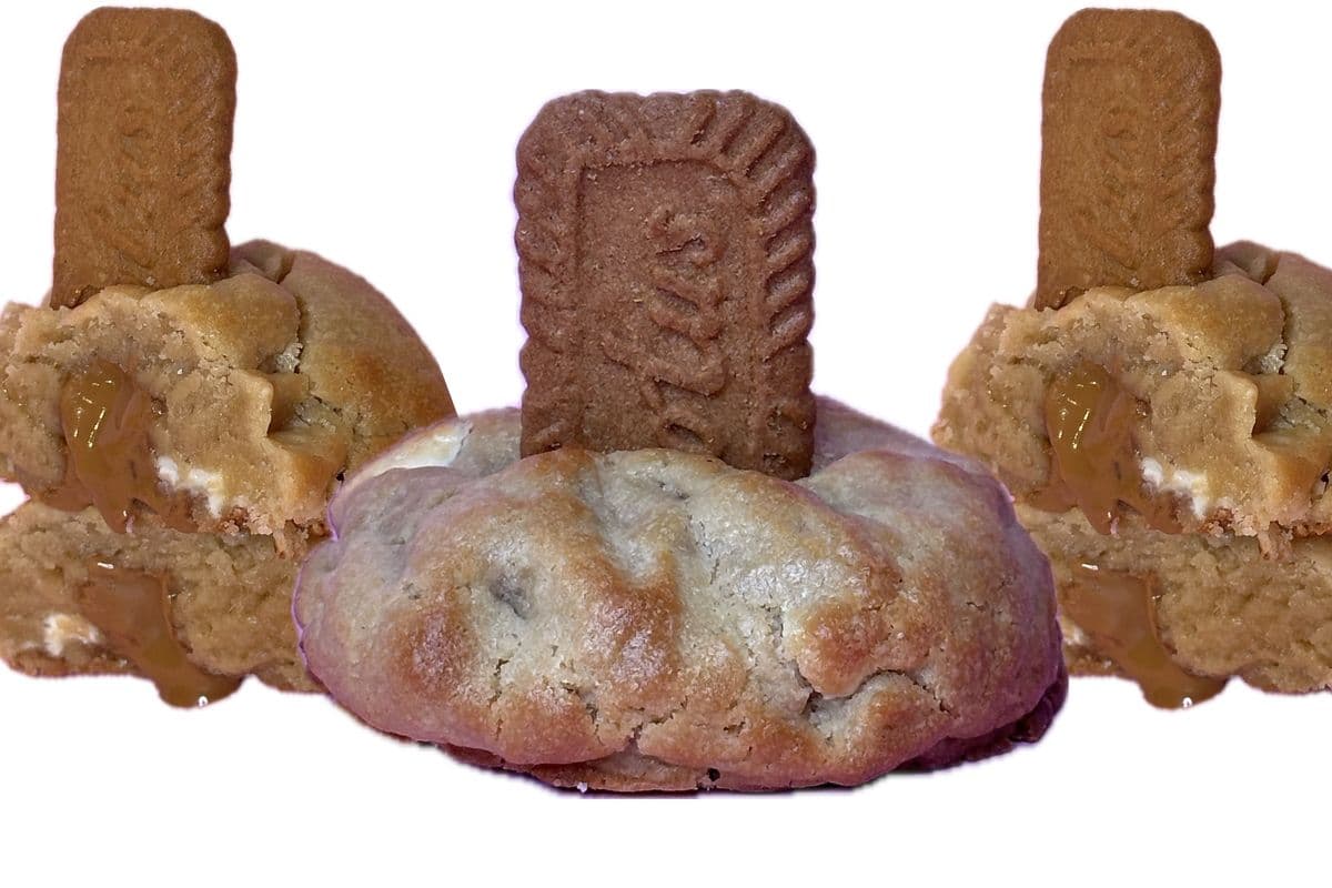Biscuit biscoff