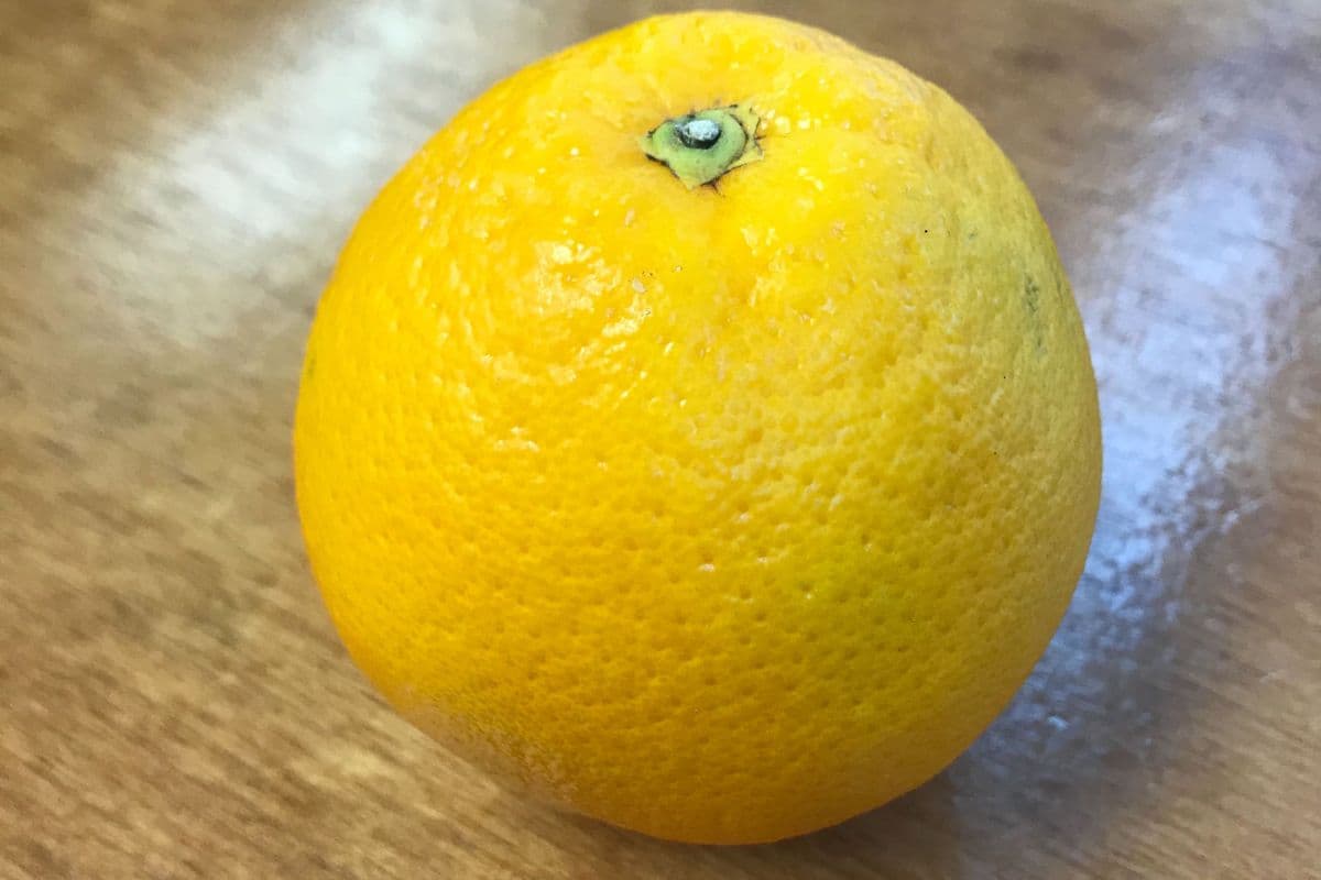 Orange