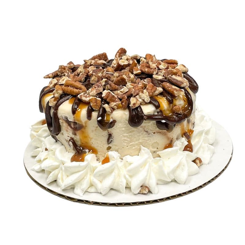 Mini Turtle Ice Cream Cake
