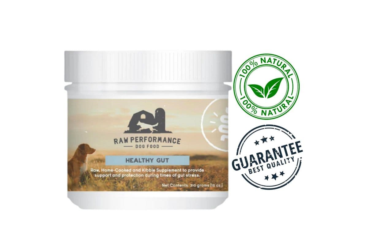 Raw Performance - Healthy Gut Dog Supplement (16 oz)