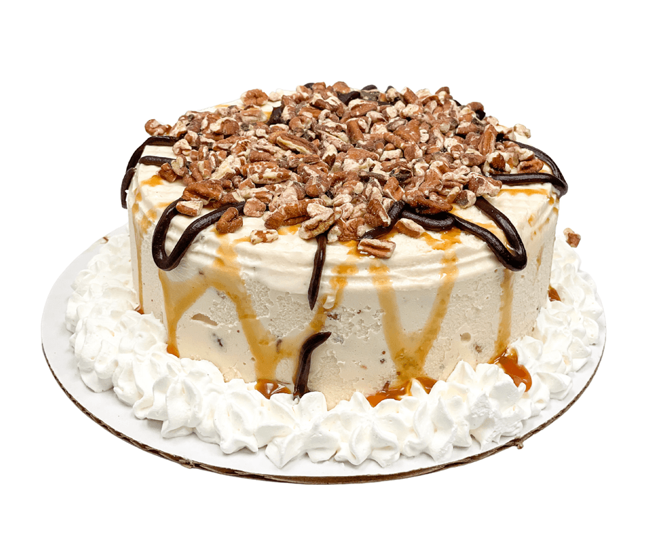 Small Turtle Ice Cream Cake