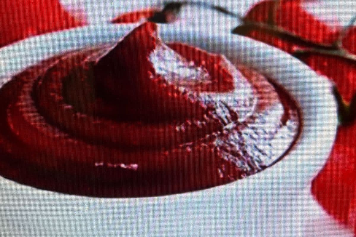 extra ketchup on the side（蕃茄酱）