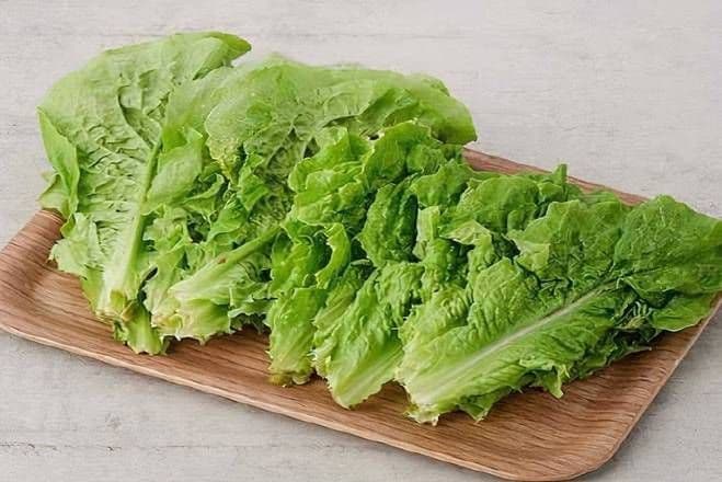 Lettuce / Lettuce