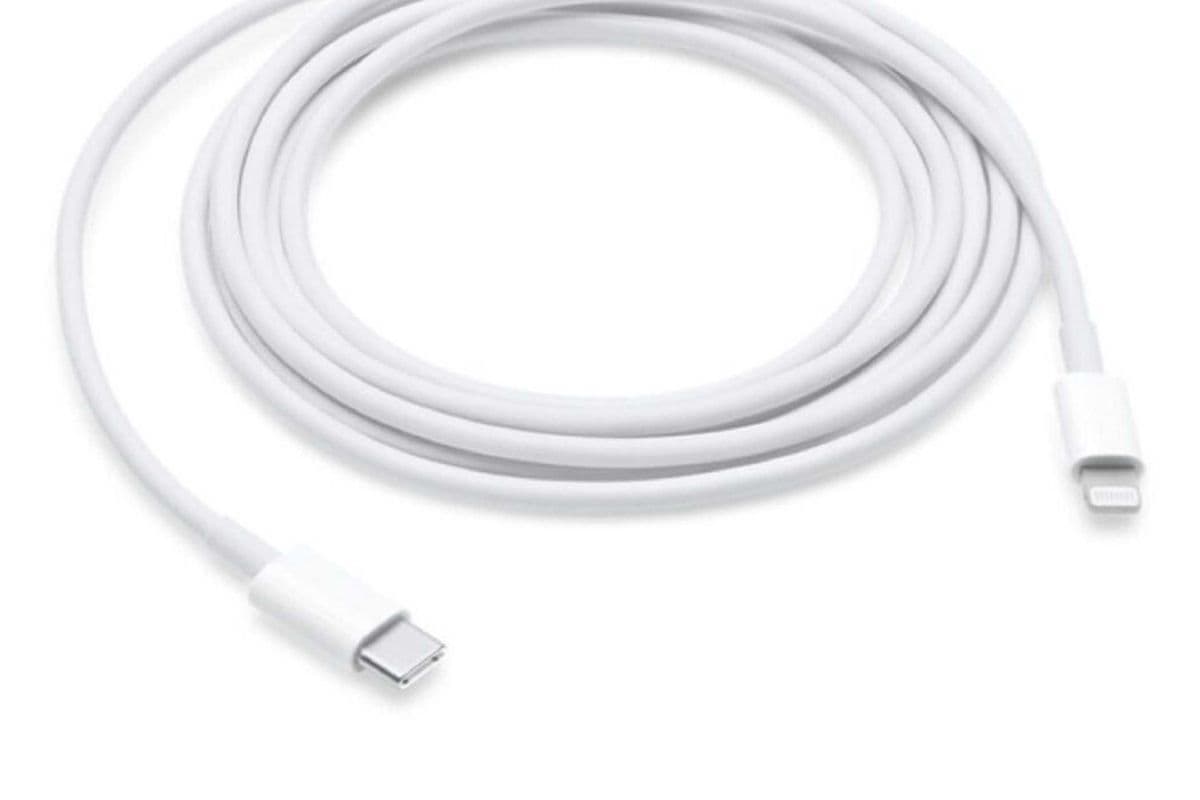 Cable de Chargeur Rapide Apple Fast Charger Cable