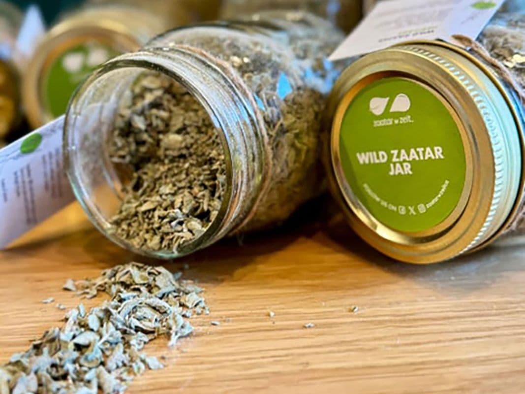Wild Zaatar Jar