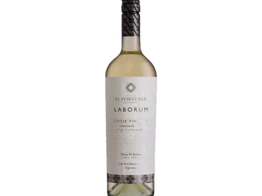El Porvenir Laborum - Torrontes