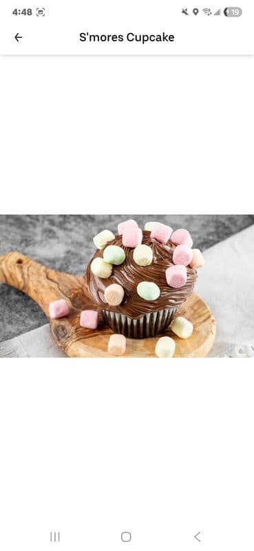 Single Cupcake