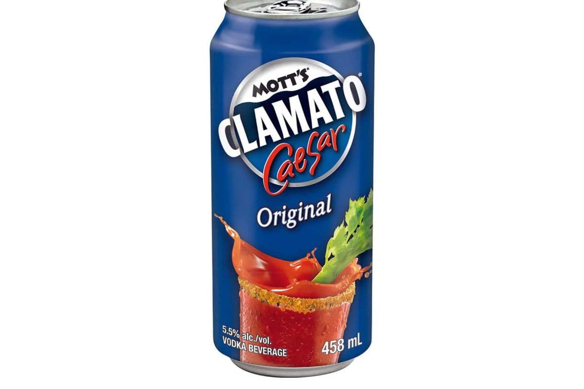 Mott's Caesar Original (473 ml Can) (1 x 473 ML )