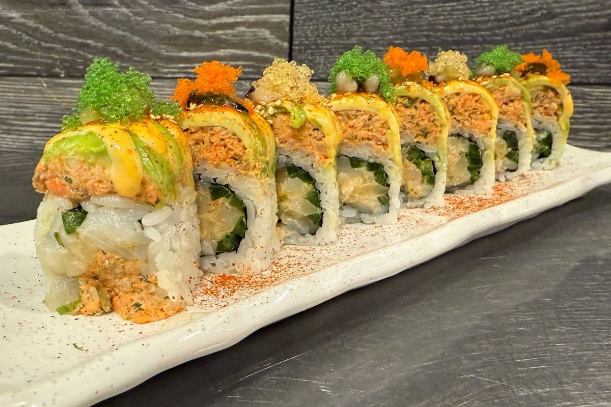 Dylan's Roll