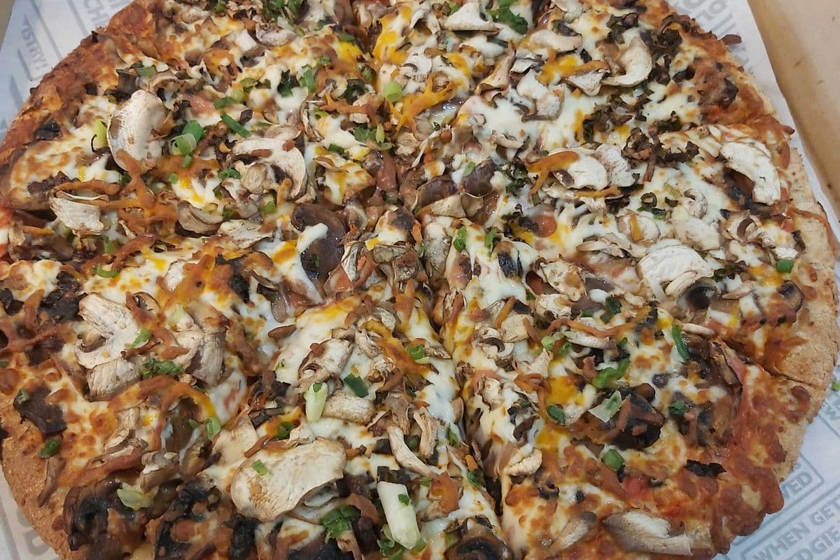 Magnificent Mushroom Marvel