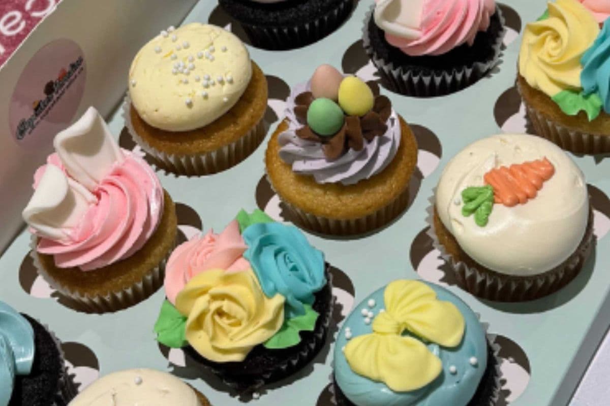 6 Assorted Vegan Cupcakes