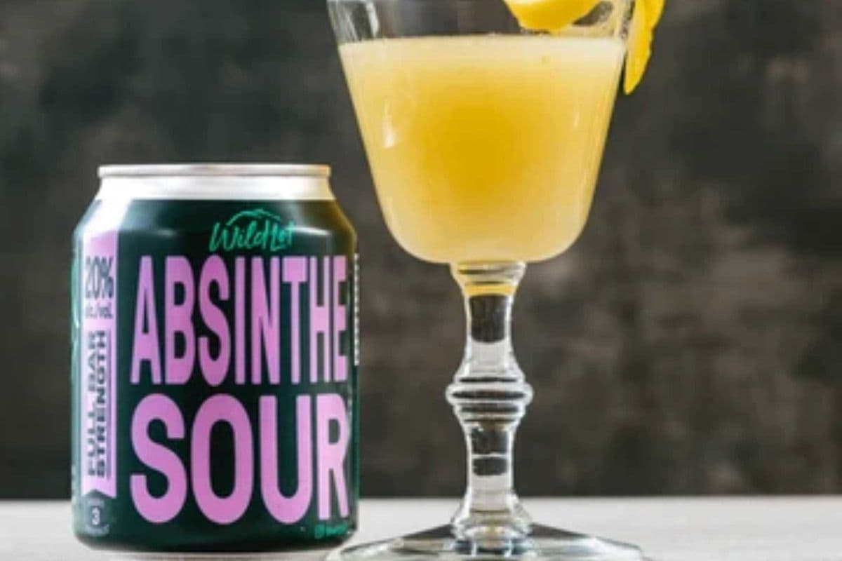WILD LOT - ABSINTHE SOUR (1 x 250ml)