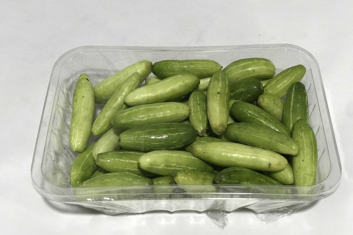 Tindora (pack, 1lb)