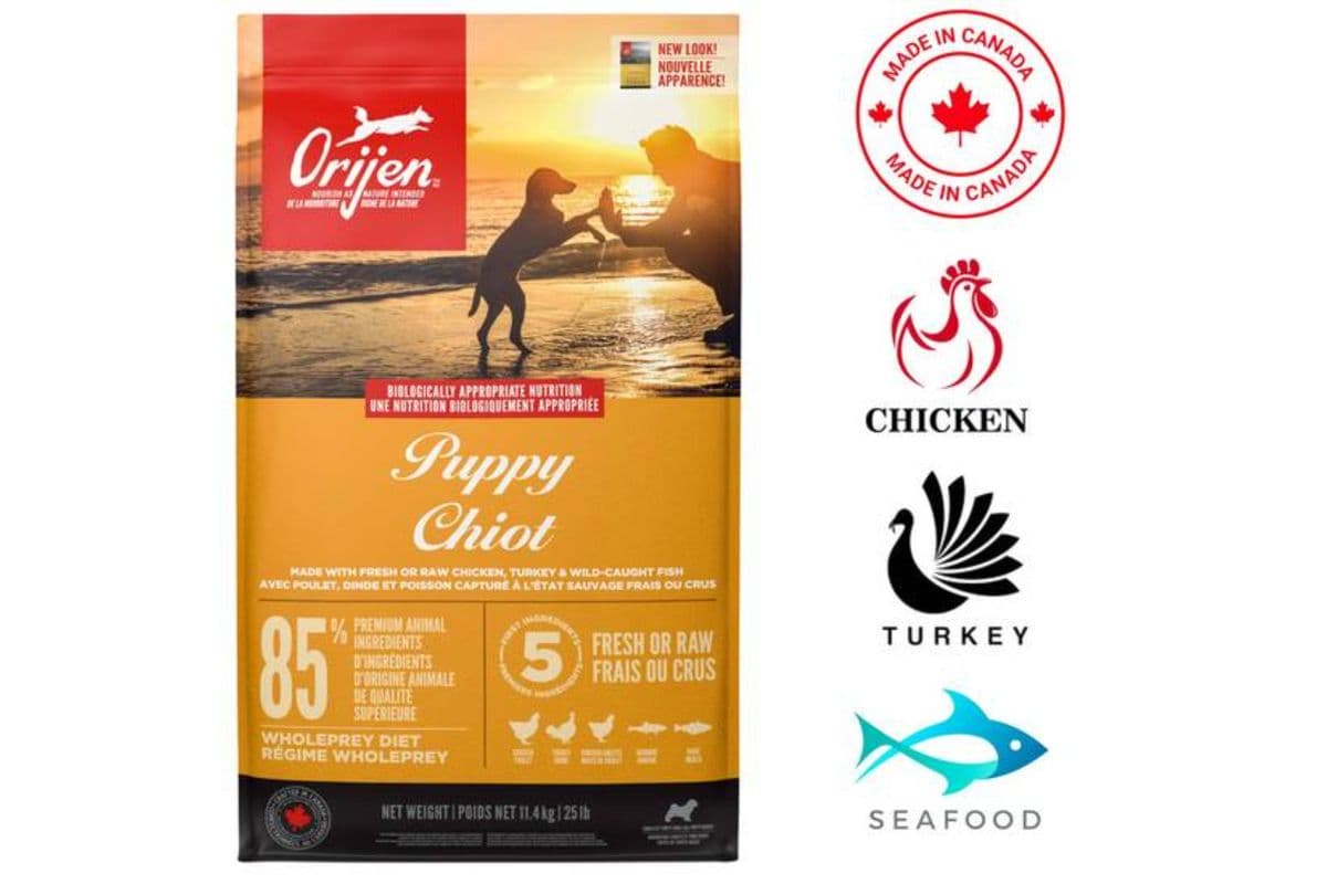 Orijen - Puppy Dry Dog Food (25 lbs)