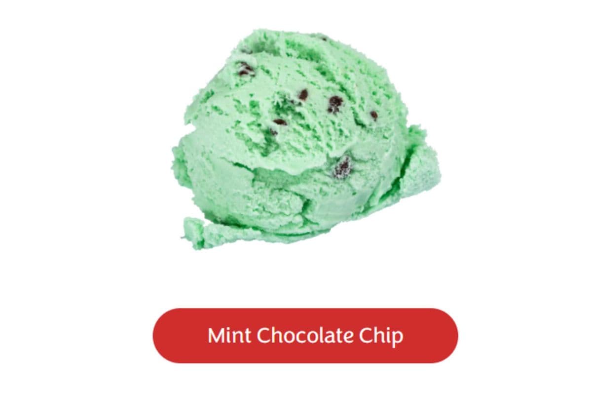 Mint Chocolate Chip (8 oz)