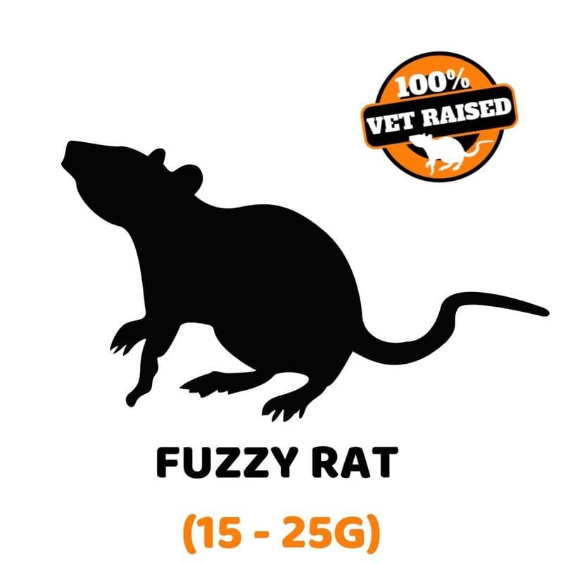 Exotic Feeders Whole Prey Frozen Feeder Rat Fuzzy Rat (15 - 25g)