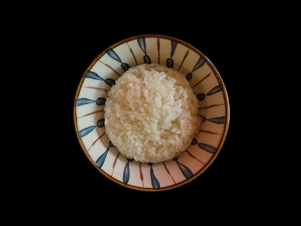 rice scoop