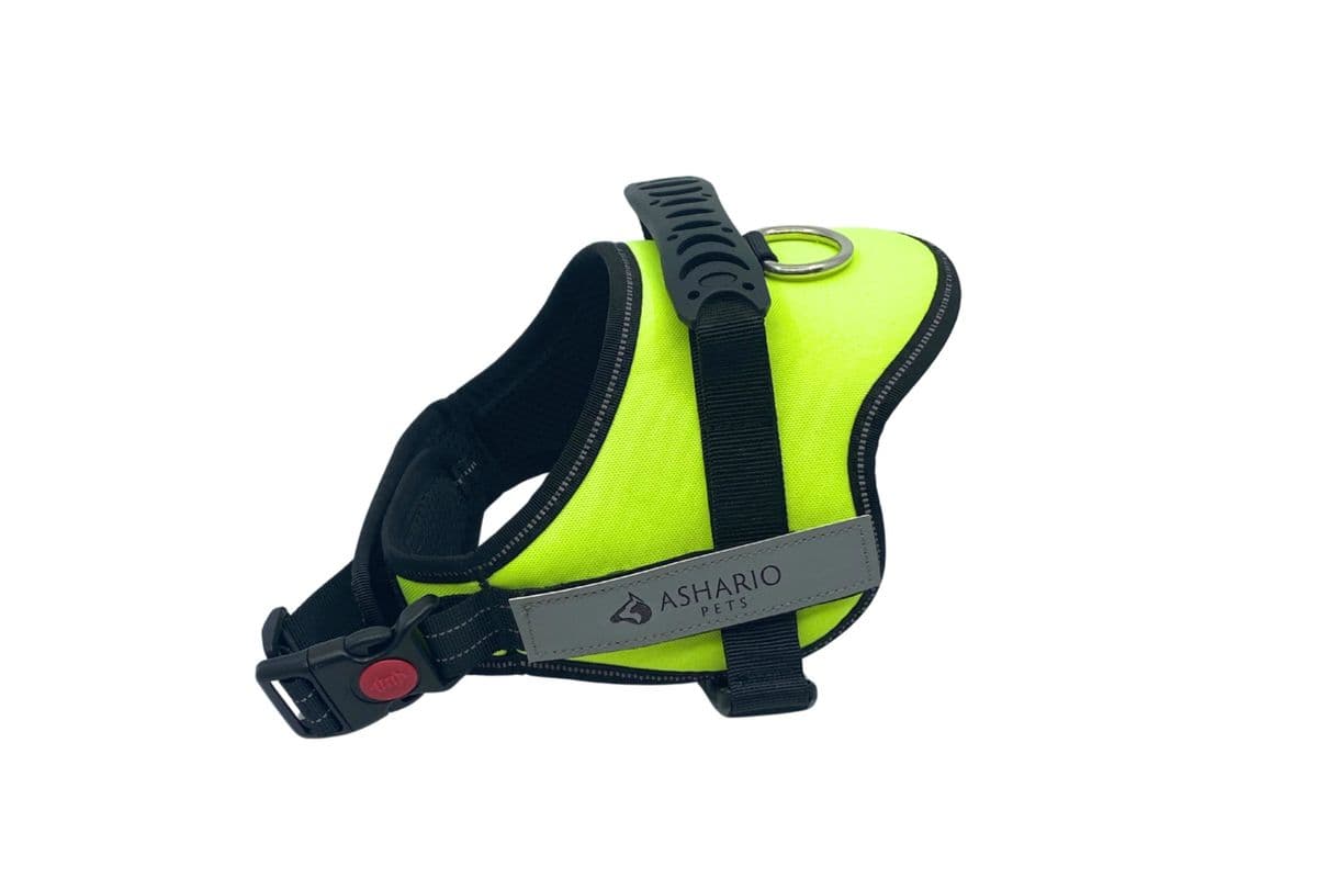 Ashario Pets "TactiHarness" Reflective NoPull Design Harness Fluorescent Green Small