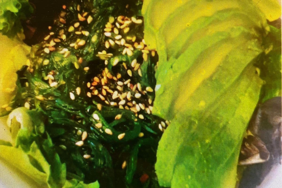 Salad (沙拉）