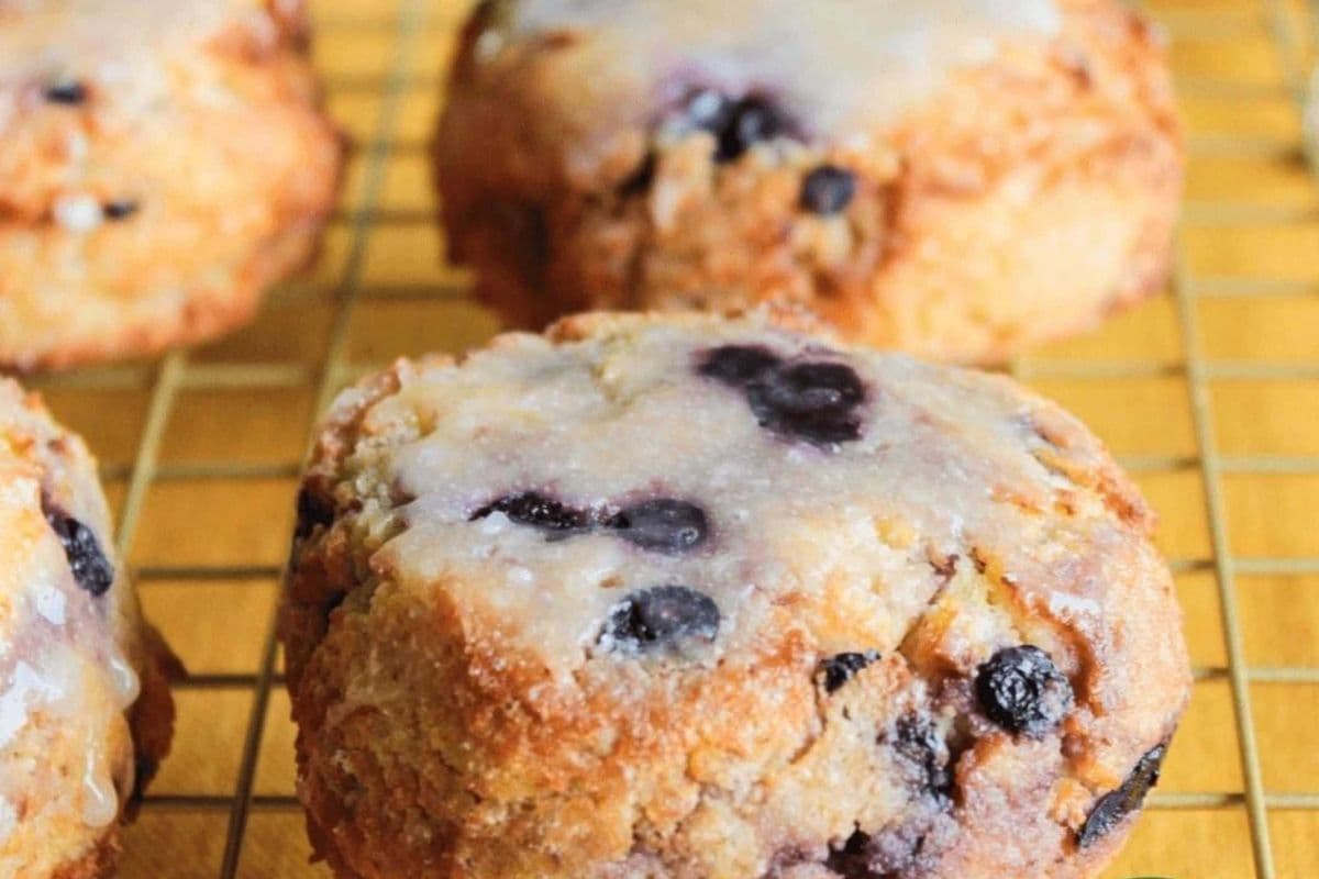 Lemon Blueberry Scones, 4 Pack - Low-Carb | GF | Diabetic Friendly (228 g) (220 Cal)