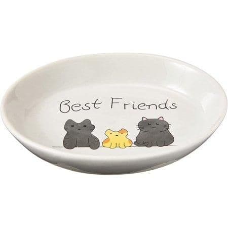 Spot Best Friends Oval Cat Dish 6"
