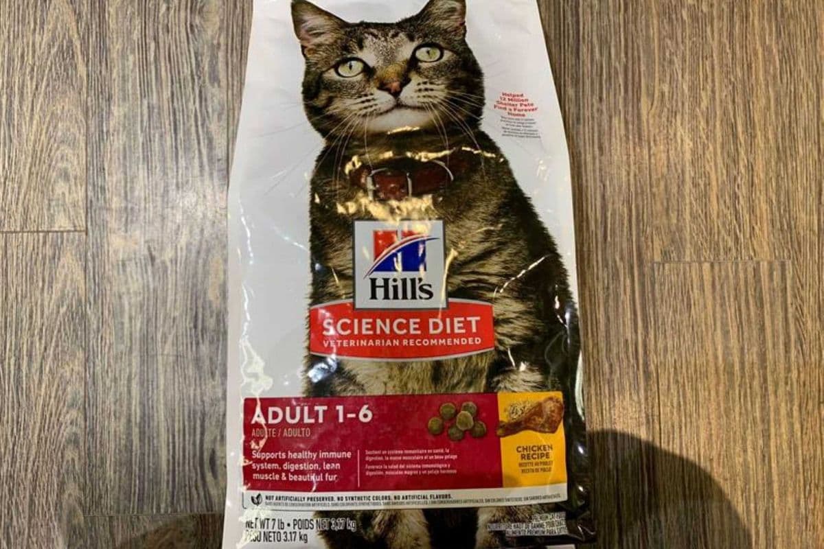 Hills | Feline | Dry | Adult 1-6 | Chicken | 7lbs