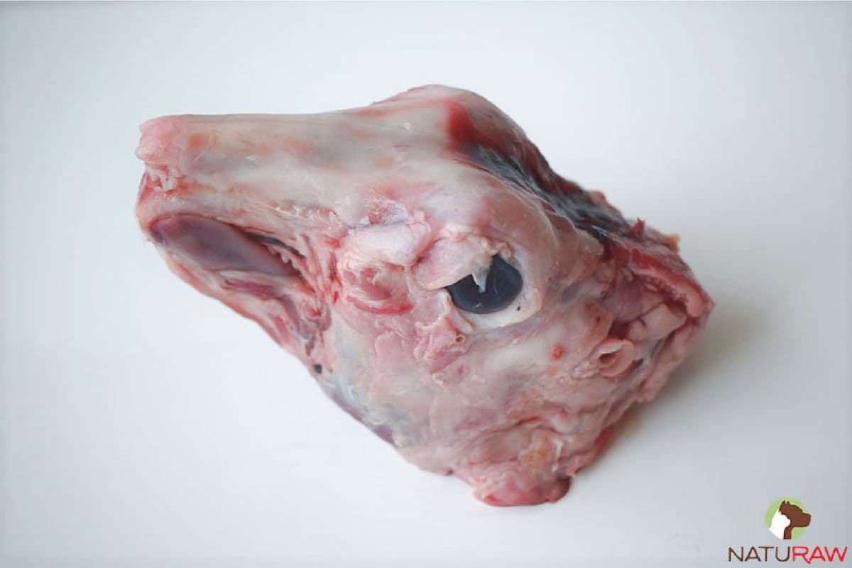 Rabbit Heads (Packs of 4)