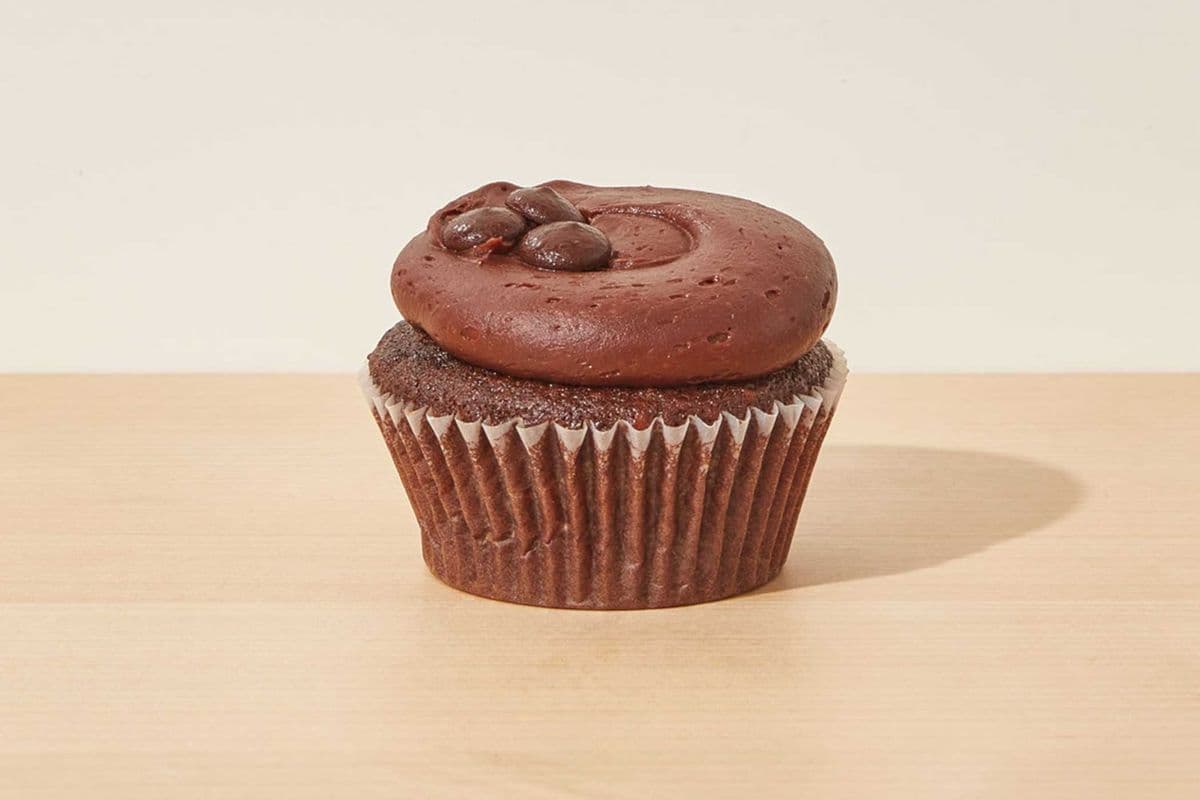 Chocolate Cupcake with Chocolate Icing