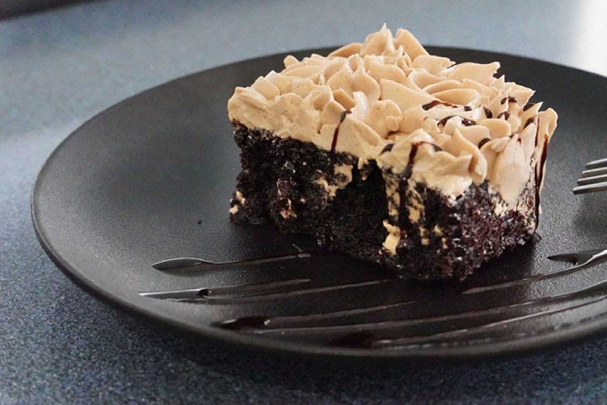 Cake Slice