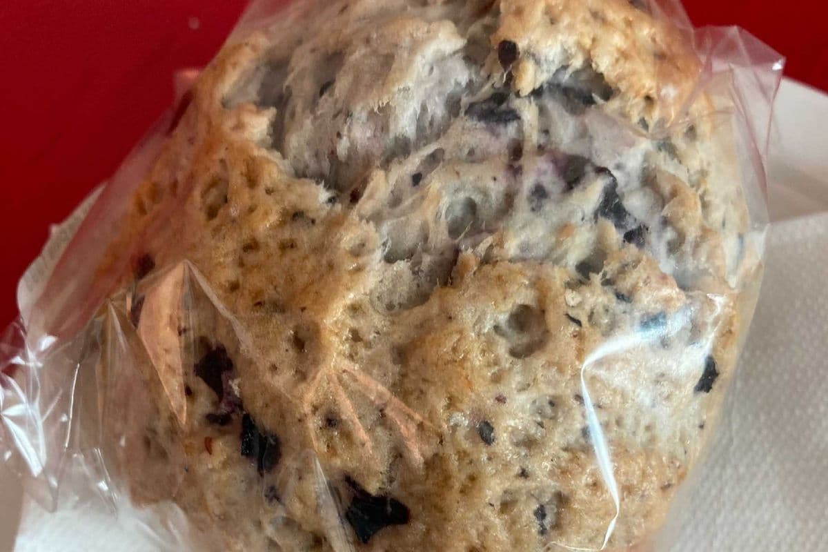 Blueberry scone