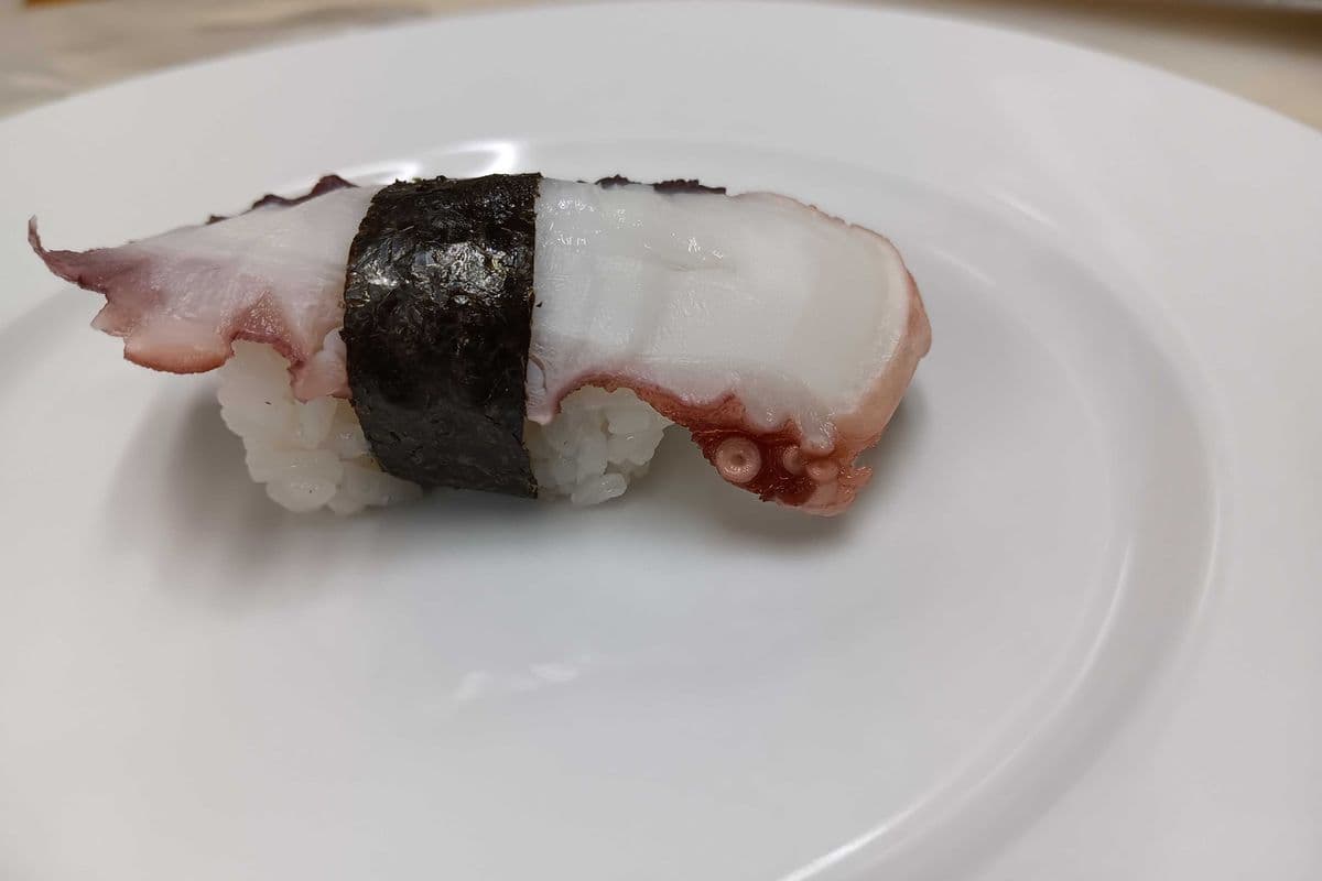Octopus (Tako)