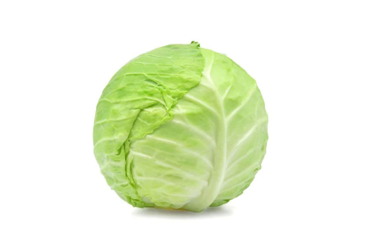 Green Cabbage