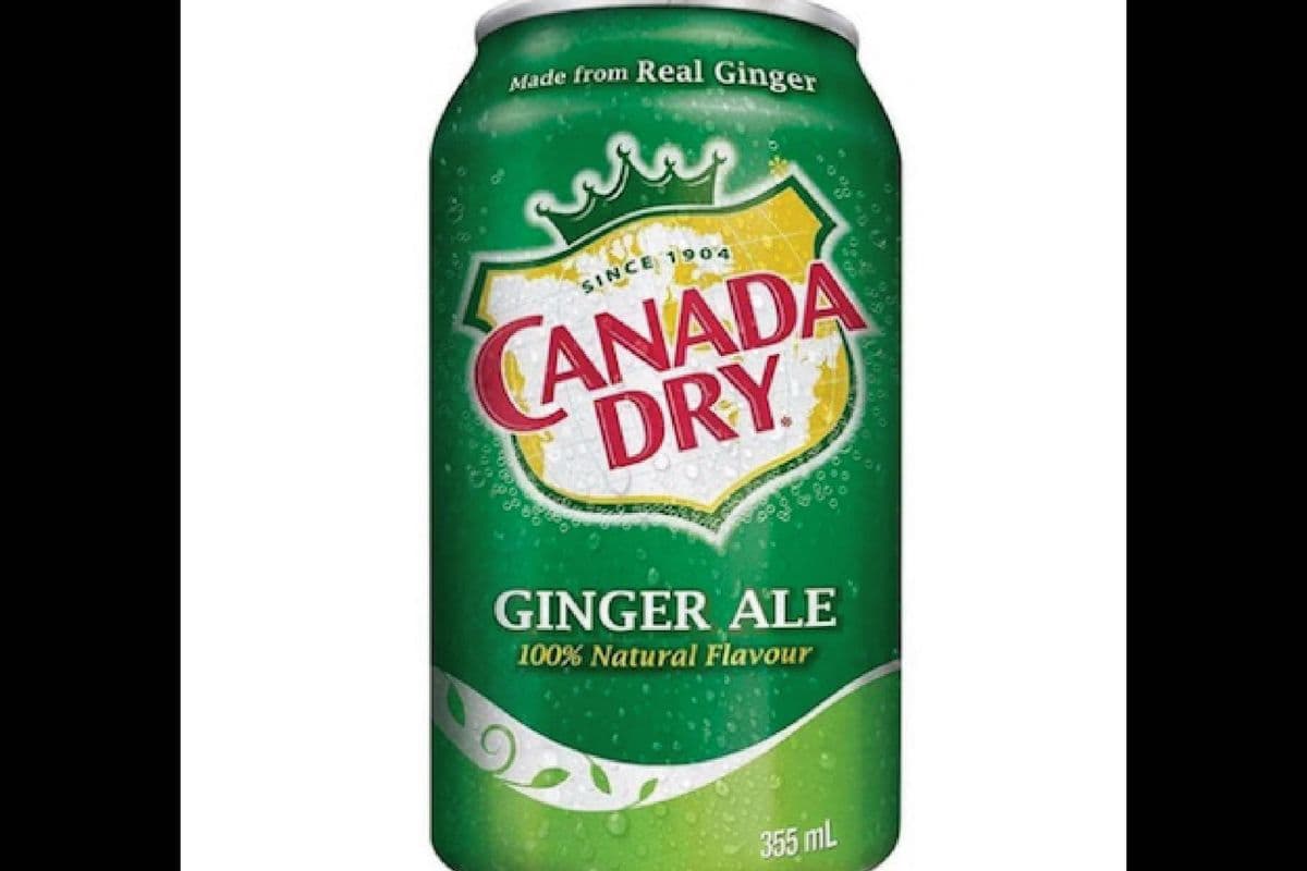 Ginger Ale (355 ml)