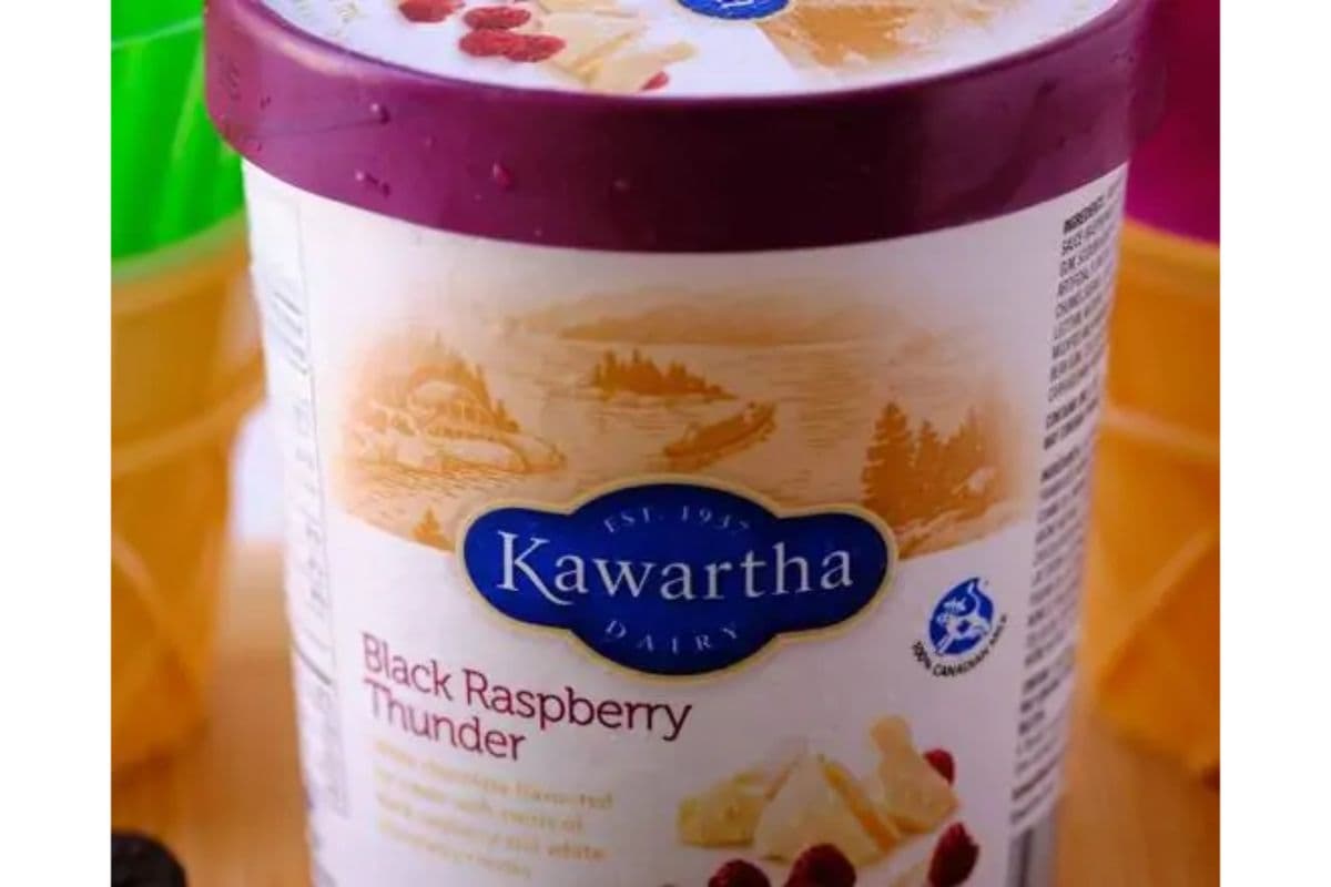 Kawartha Dairy - Black Raspberry Thunder