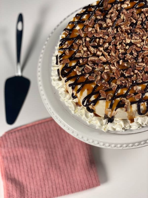Large Turtle Ice Cream Cake