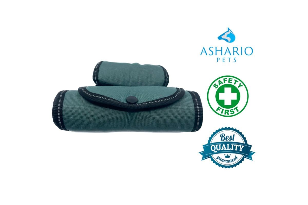 Ashario Pets - "StrideAssist" Walking Assist Strap - L