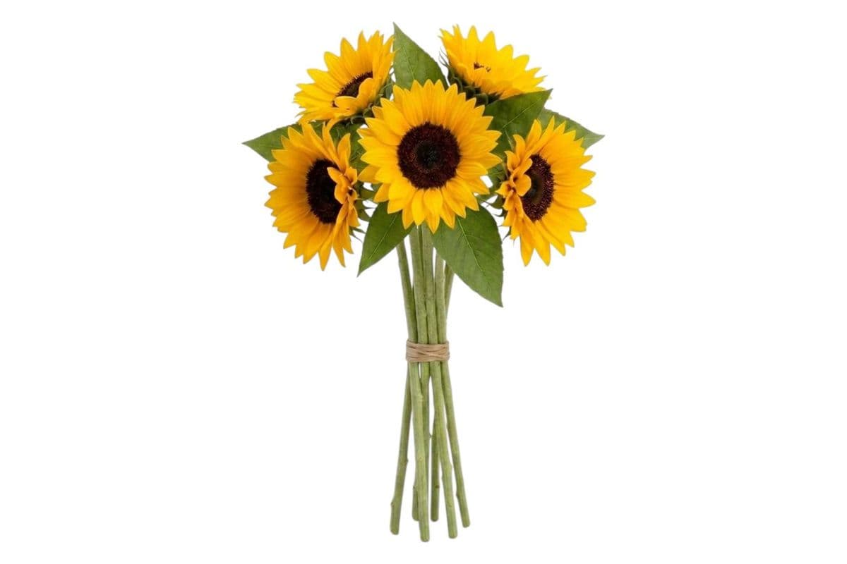 Sunflowers - 5 Stems