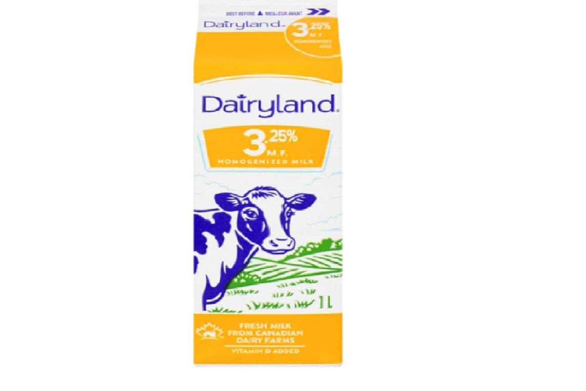 Dairyland 3.25% Milk 1 L (1 L)