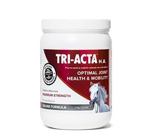 Tri-ActA H.A Maximum Strength with Hyaluronic Acid - 1Kg Equine Formula