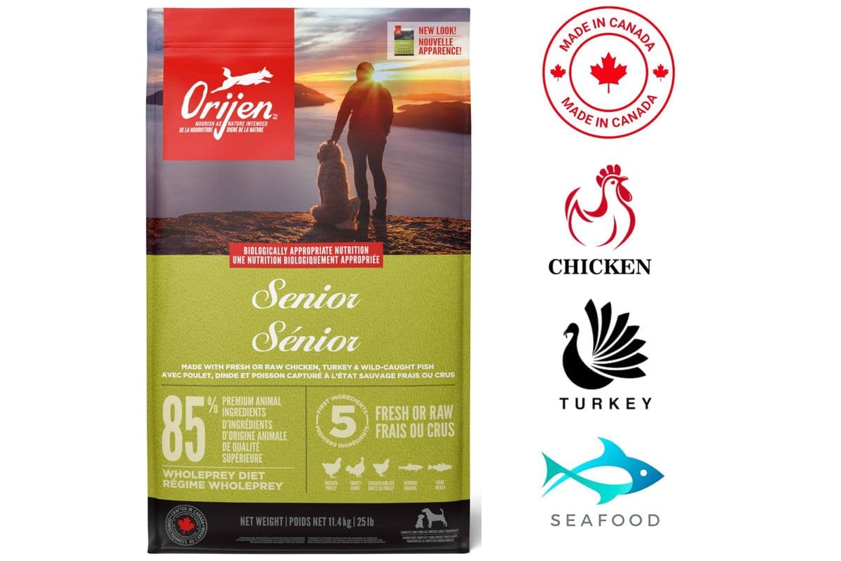 Orijen Senior Dry Dog Food (25 lbs)