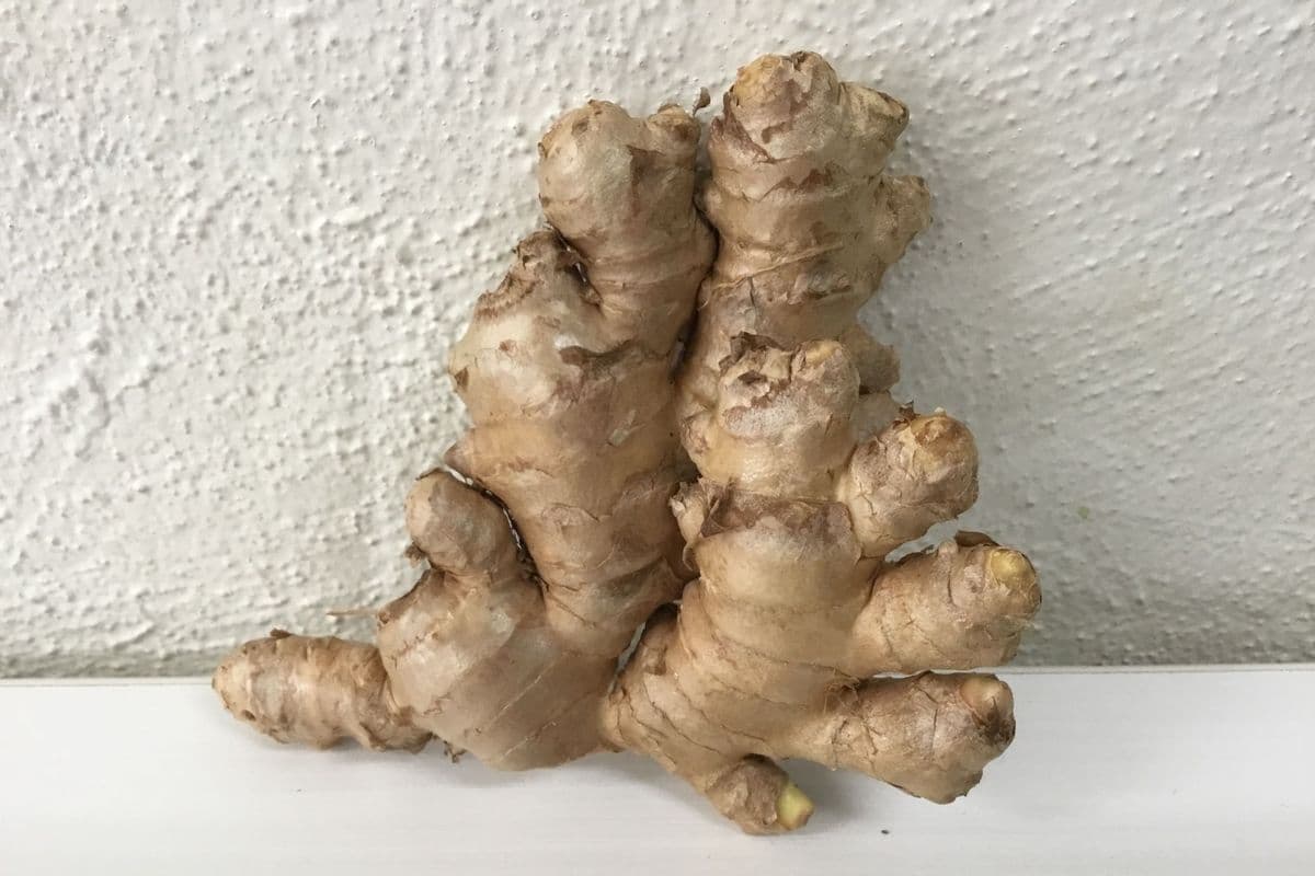 Ginger (Organic) (Medium Piece)