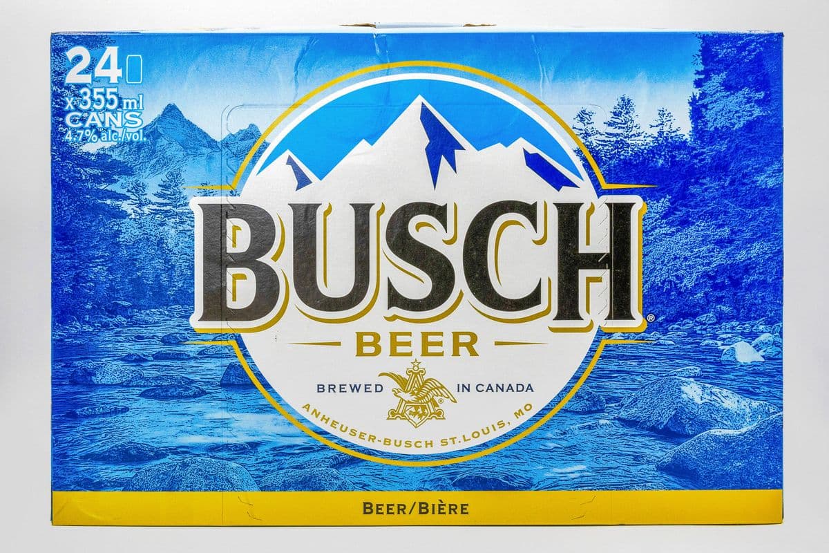 Busch (24 Pack) (24 x 355ML)