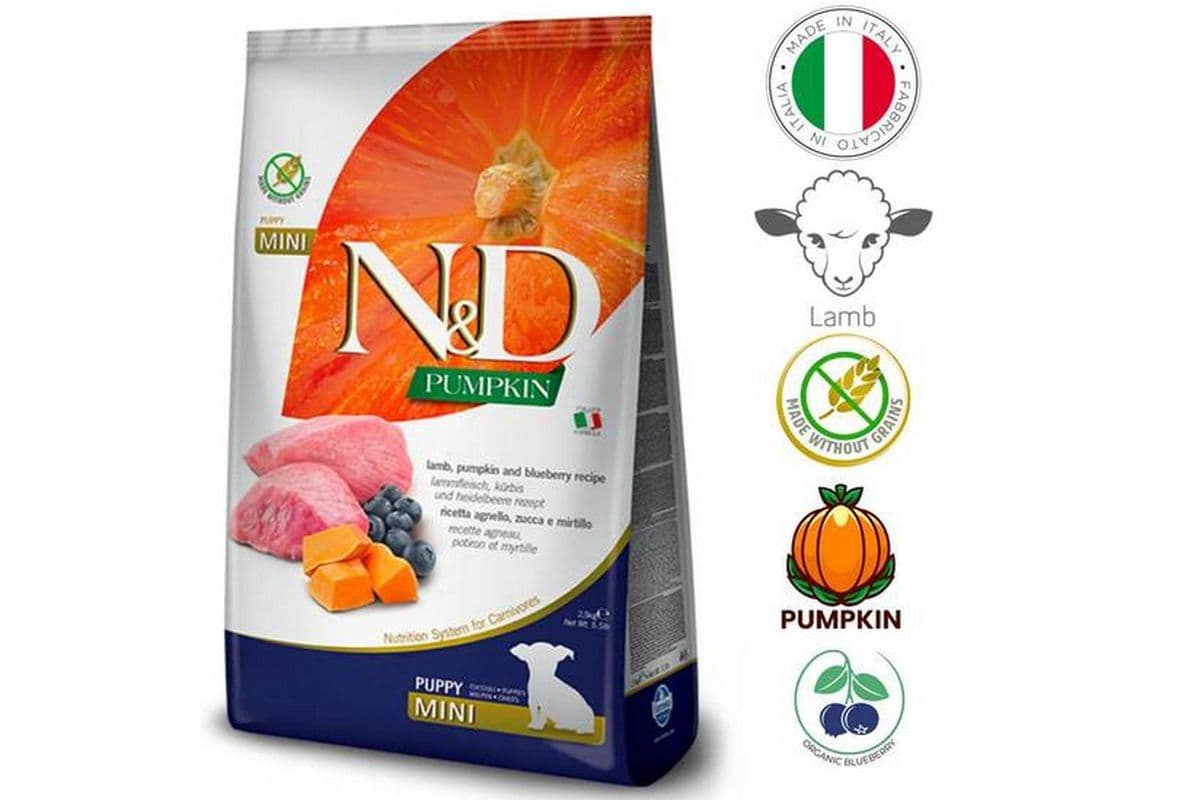 Farmina - Pumpkin Lamb & Blueberry Dry Dog Food Mini Puppy (15.4 lb)