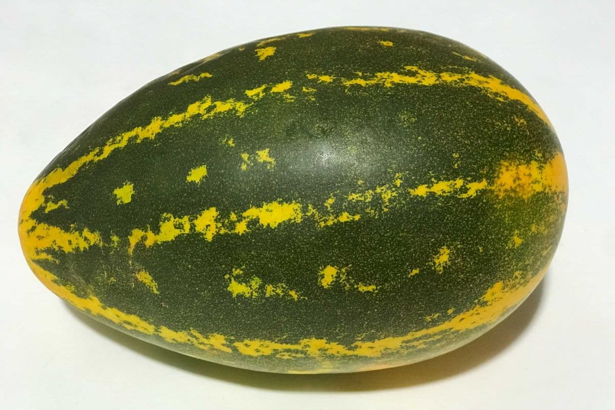 Kerala Vellarikka (each , 2lb)