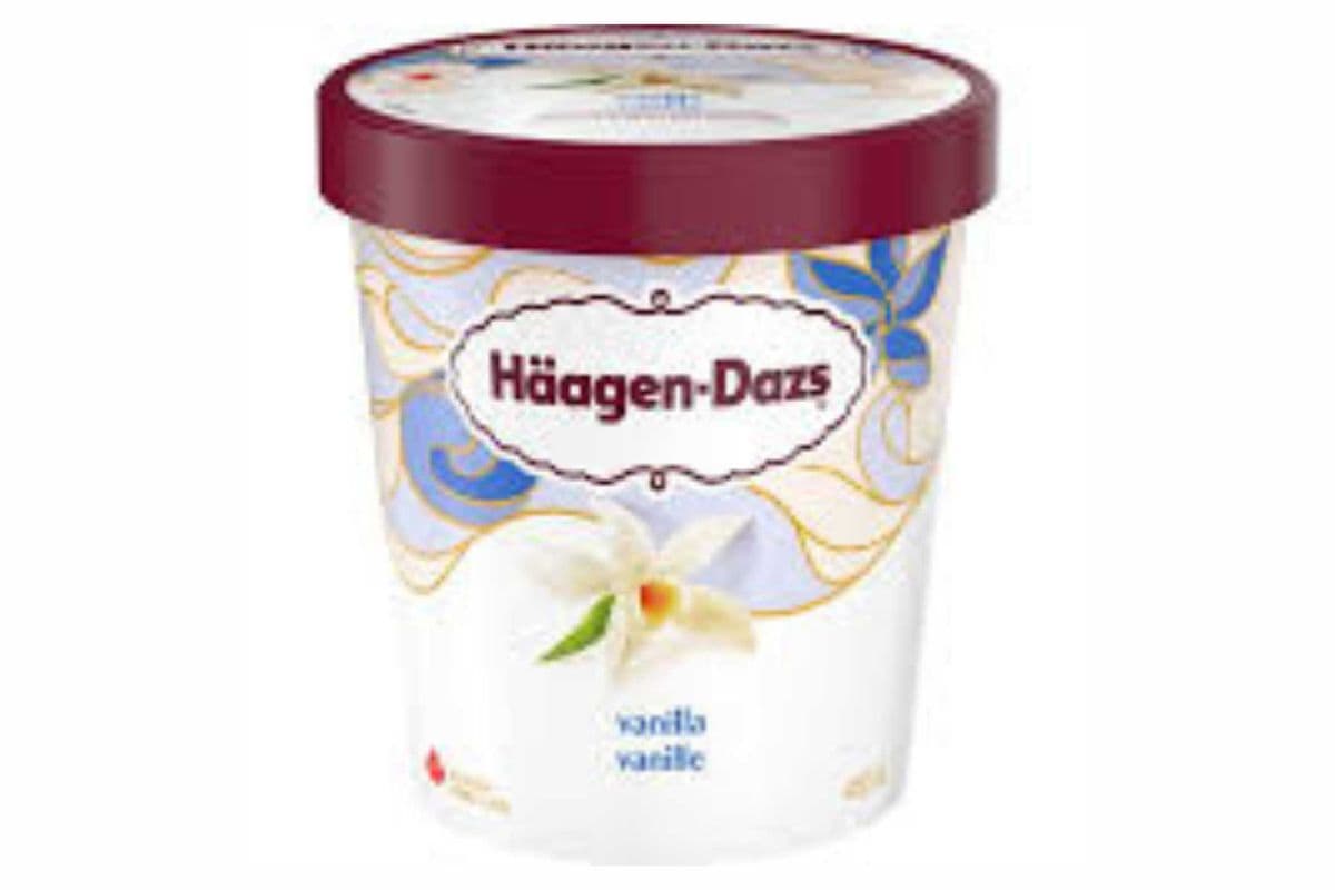 Häagen-Dazs Ice Cream Vanilla (450 ml)