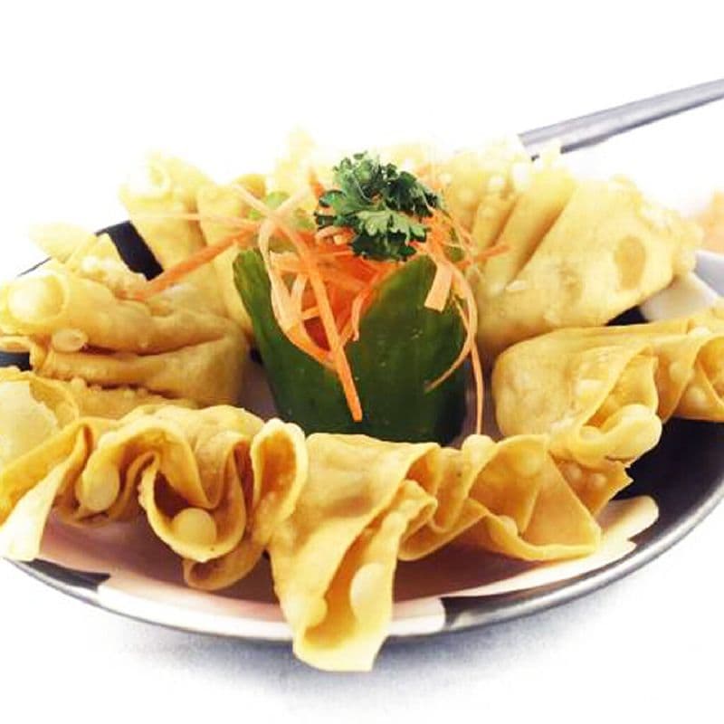 19. Won ton frit aux porc / 19.  Fried Won Ton pork