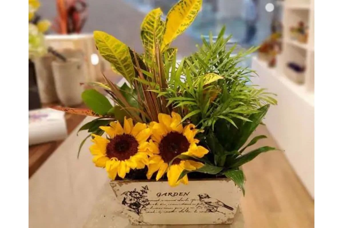 Dish Garden