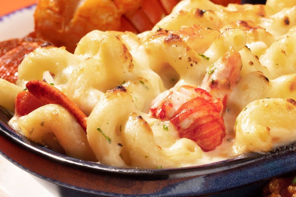 New! Lobster Pasta au Gratin